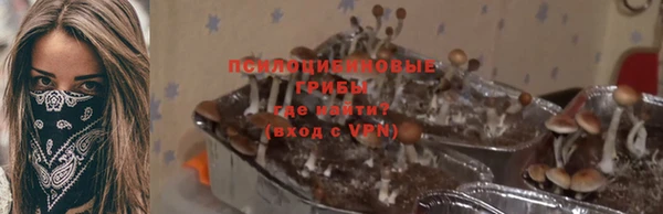мдпв Пересвет