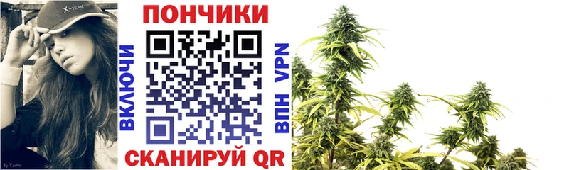Канабис SATIVA & INDICA  дарнет шоп  Карталы 